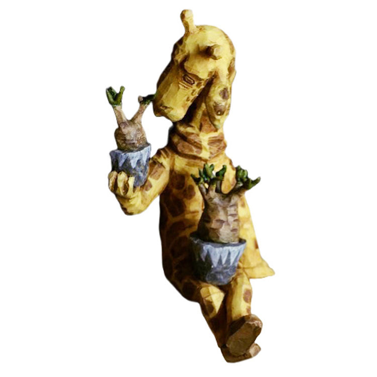 Caudex Mr. Giraffe by Mr. Giraffe