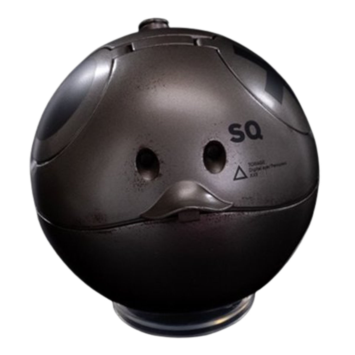 Black Chrome Mobile Suit Gundam Haro Squaro