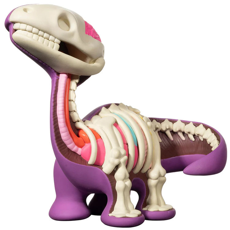 Purple Dissected Bronto (6 inch edition) by Elbo Glass