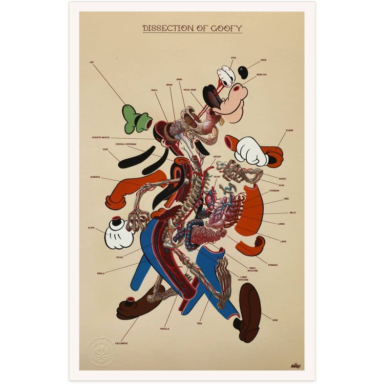 Dissection of Goofy : Anatomy Sheet by Nychos