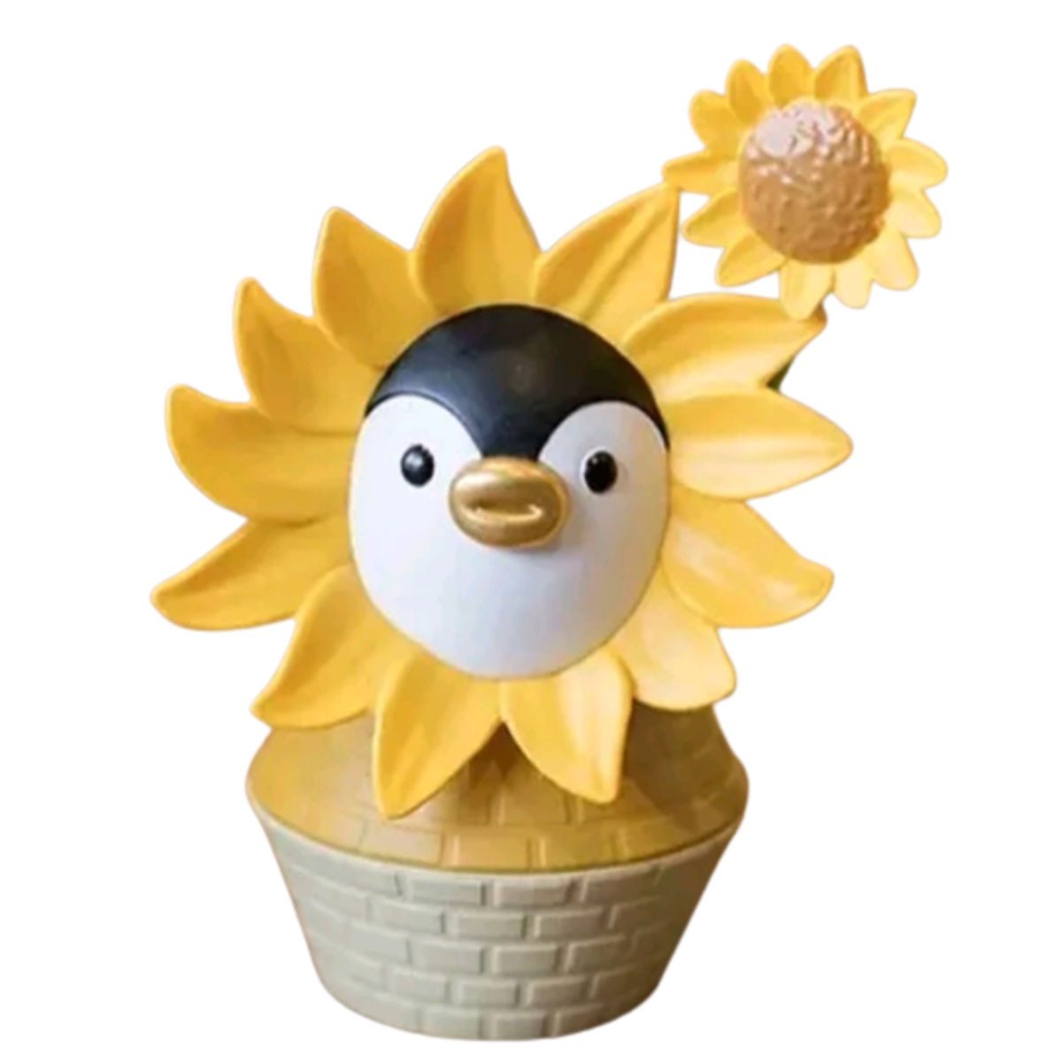 The Heart of Son Pupu