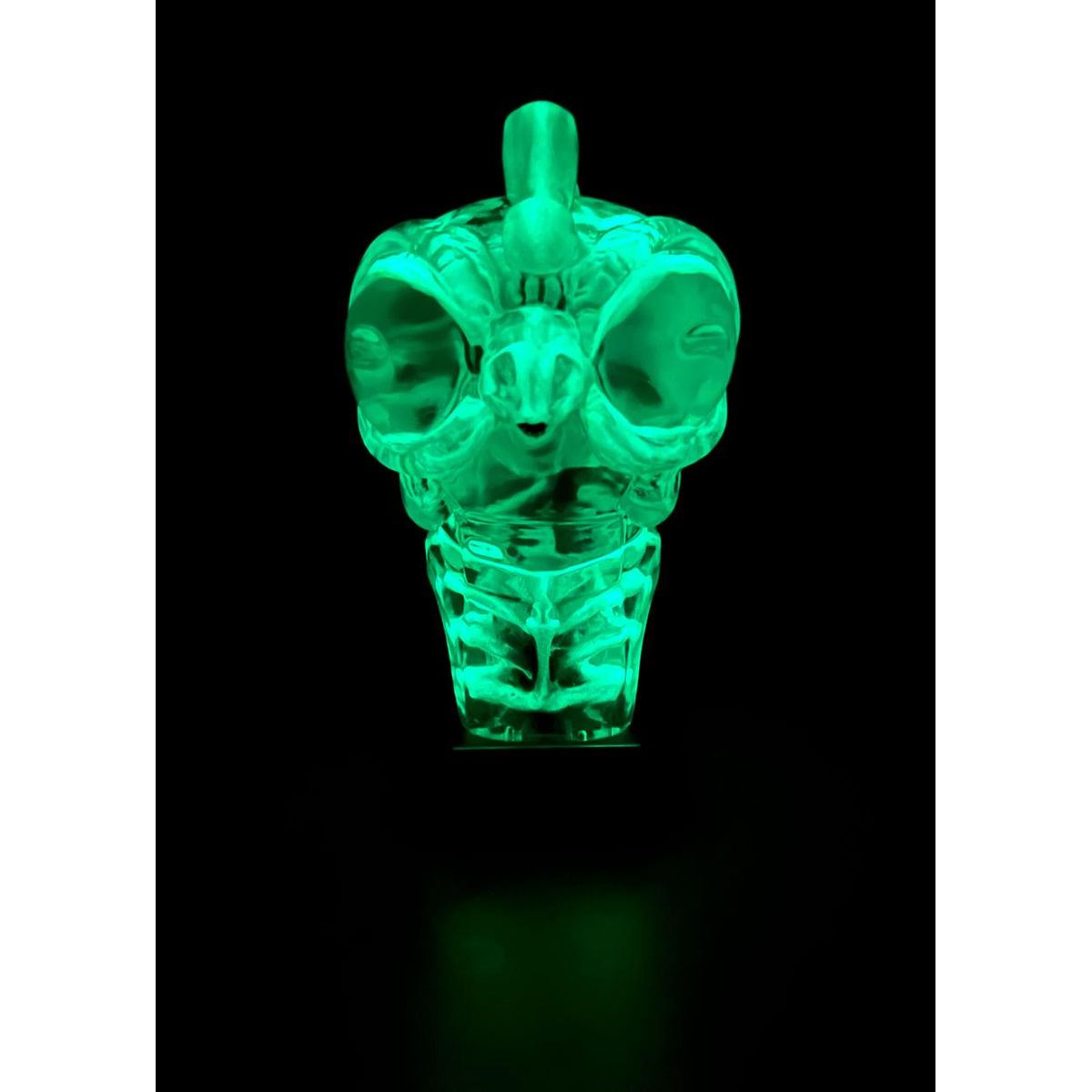 GID Kickin' The BUCKet