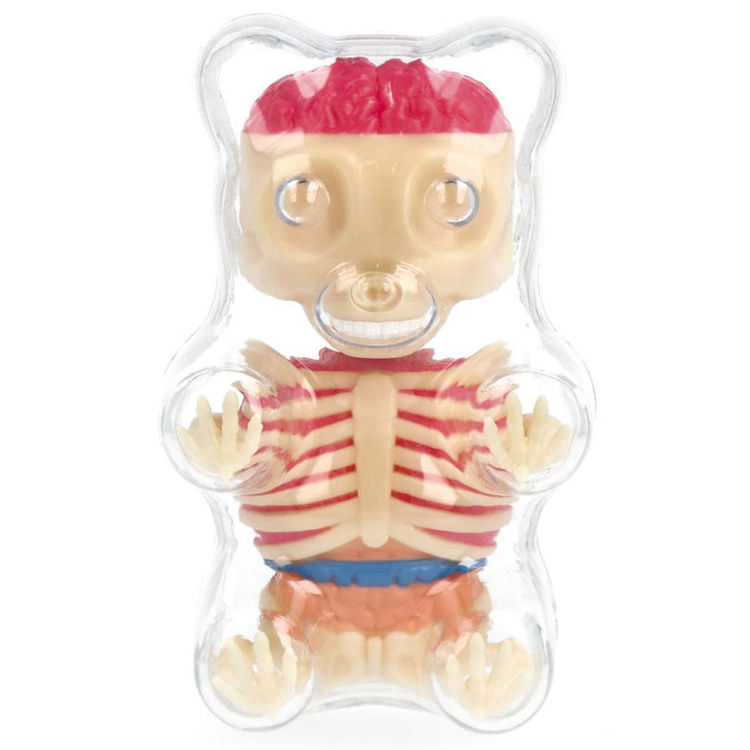 Clear Baby Gummi Bear Funny Anatomy by Jason Freeny