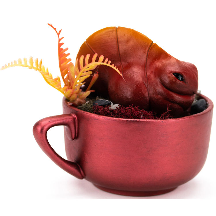 Pondling Teacup Terrarium by All Nighter Productions