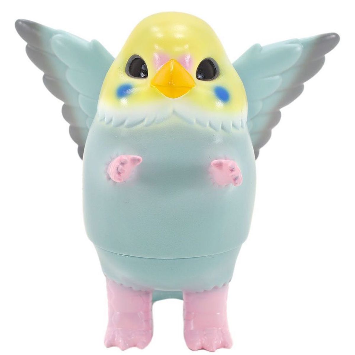 Rainbow Parakeet Pigora