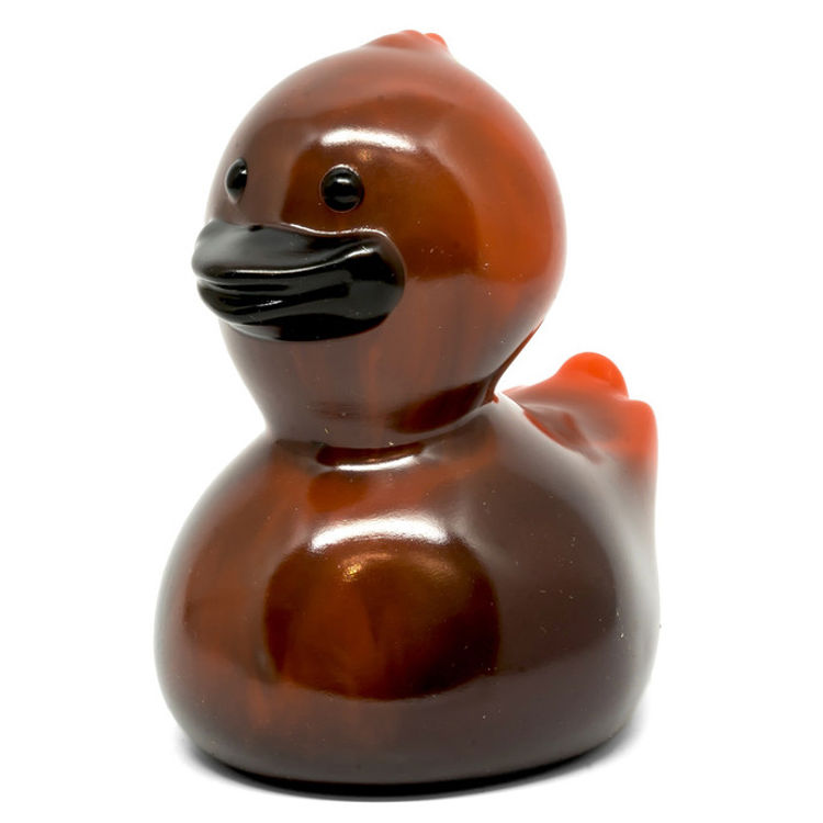 RJ Ducky Heirloom Tomato by Joe Somers