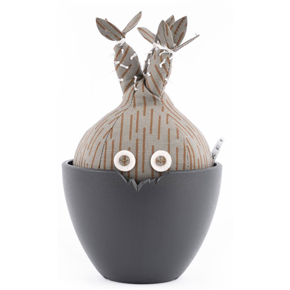 Hakkei Raindrop Pachypodium Gracilius Doj