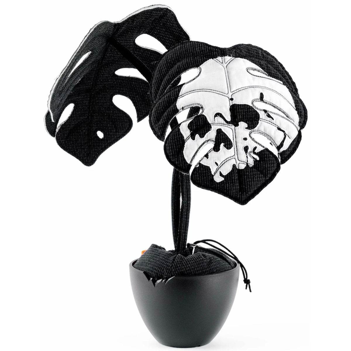 Bifoliate Bone Monstera