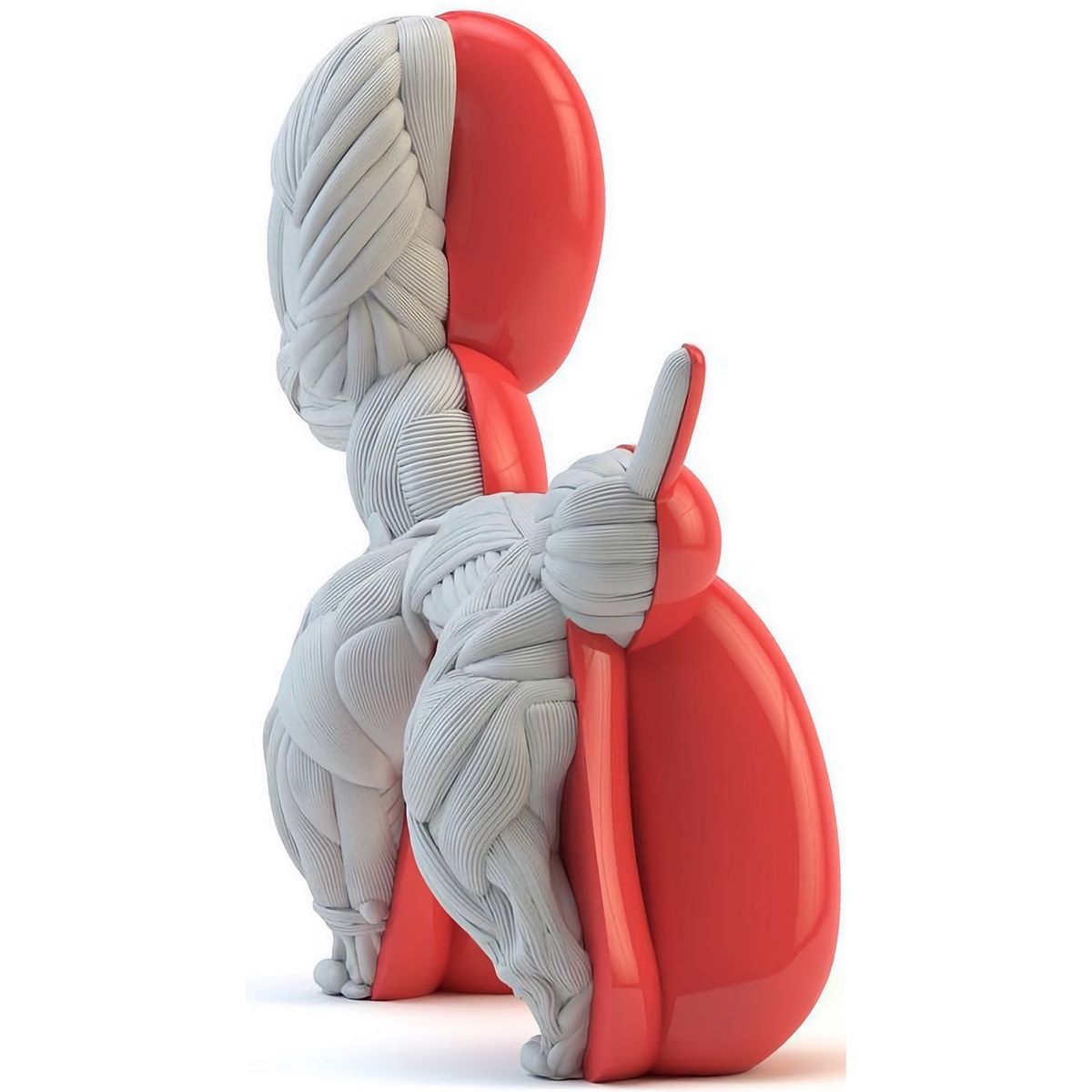 Red Muscle Dissection Anatomical Balloon Dog
