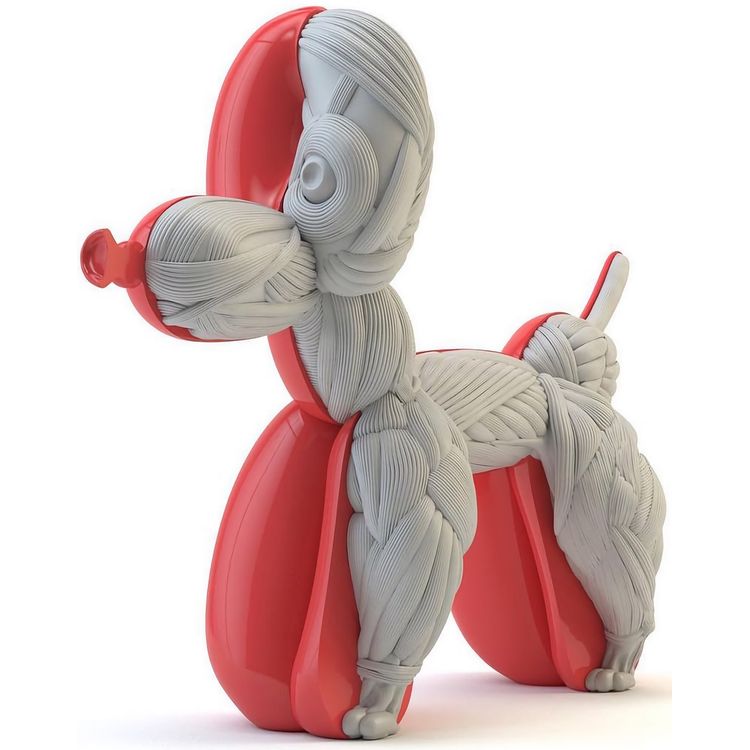 Red Muscle Dissection Anatomical Balloon Dog by Whatshisname (Sebastian Burdon)