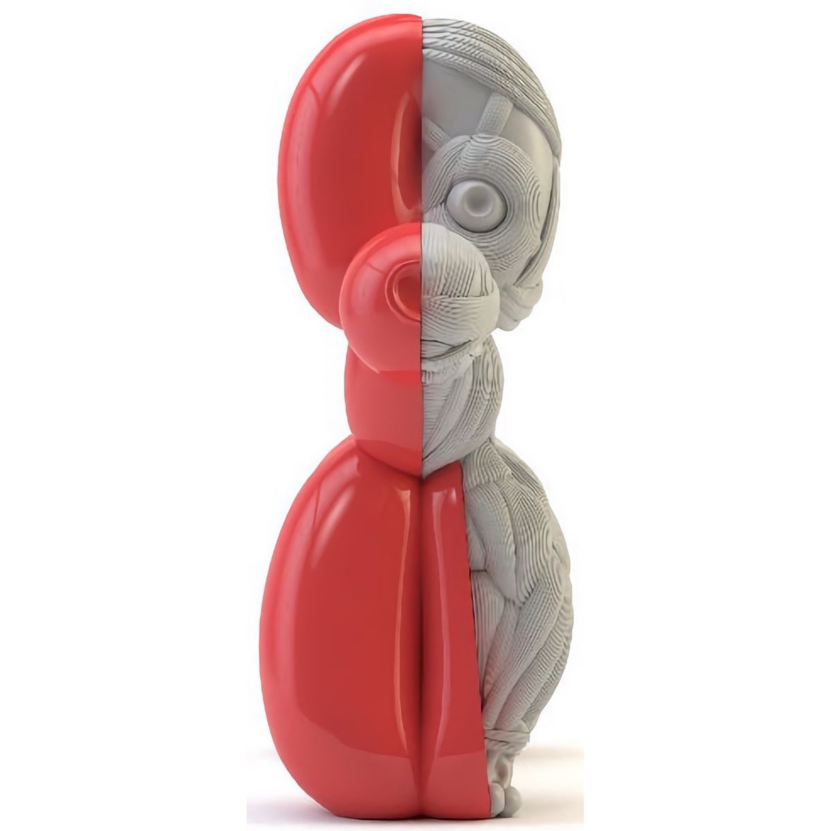 Red Muscle Dissection Anatomical Balloon Dog