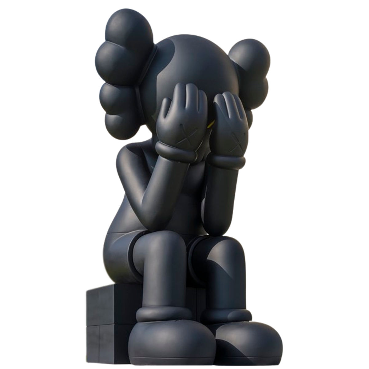 17-foot (208") Black Passing Through Companion