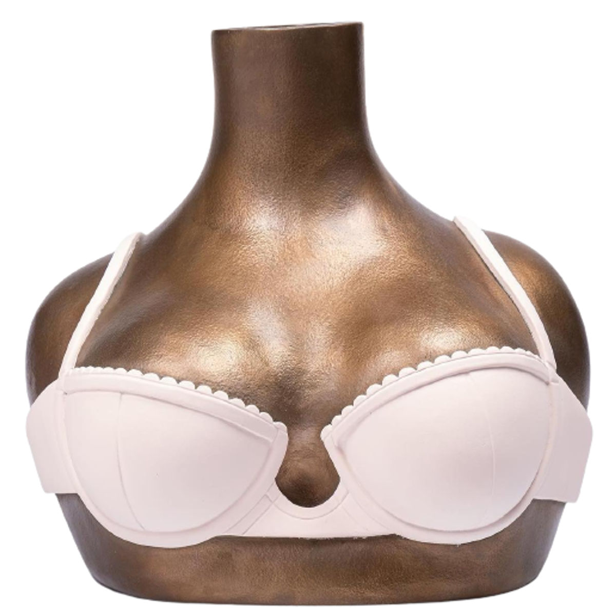 Shell : The Shirt Off Her Back