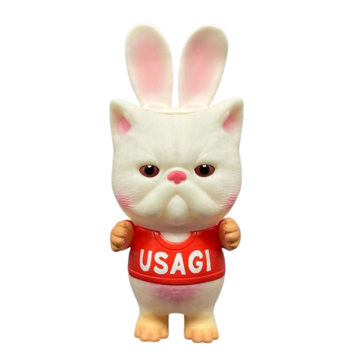 Year of Rabbit Exotic Short Hair Cat