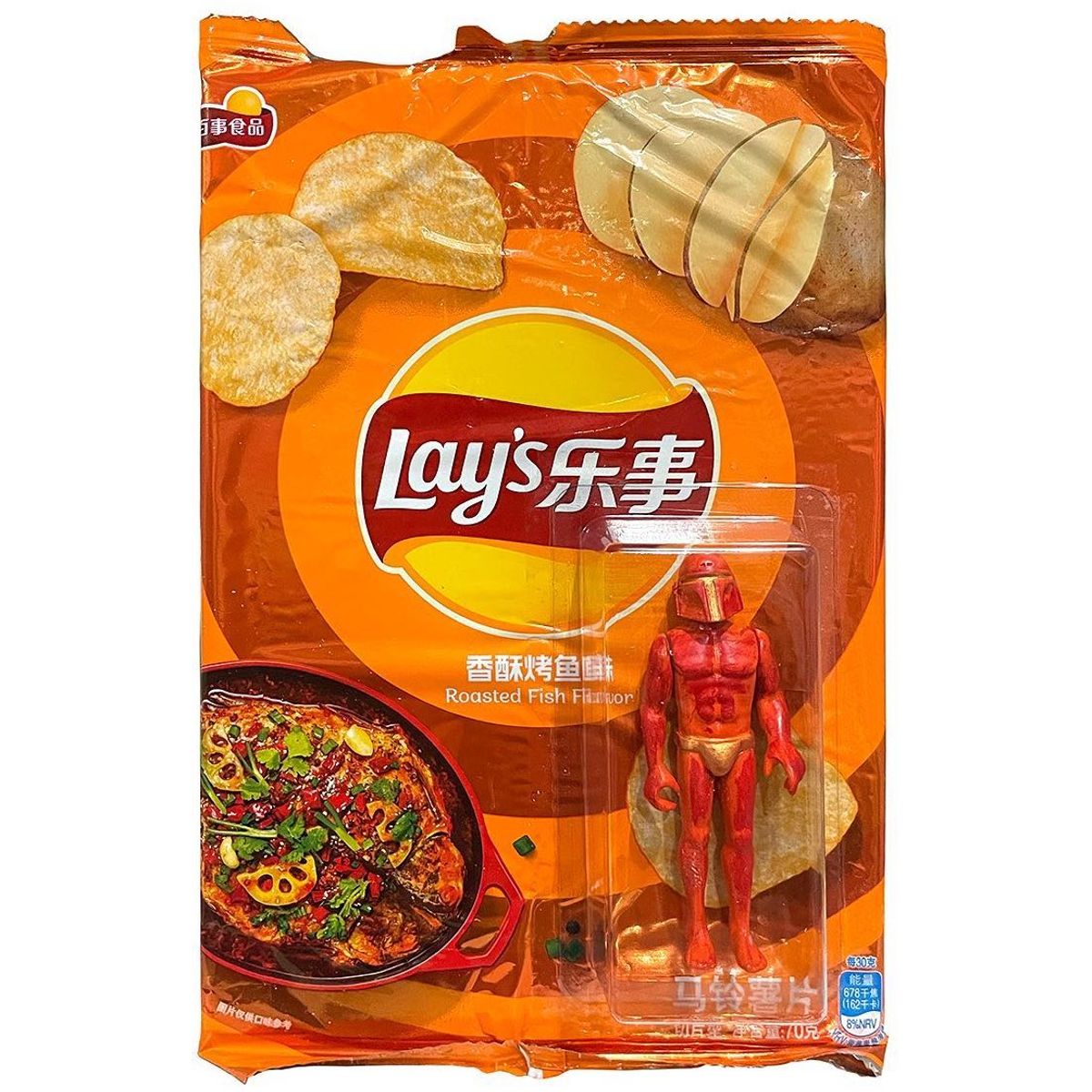 Roasted Fish Flabor : Exotic Chips