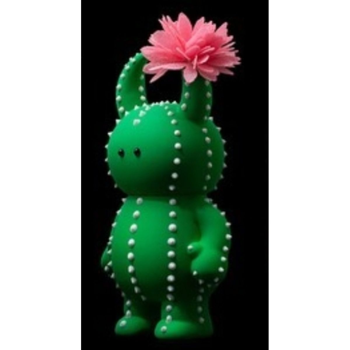 Cactus Uamou Flowering Pink