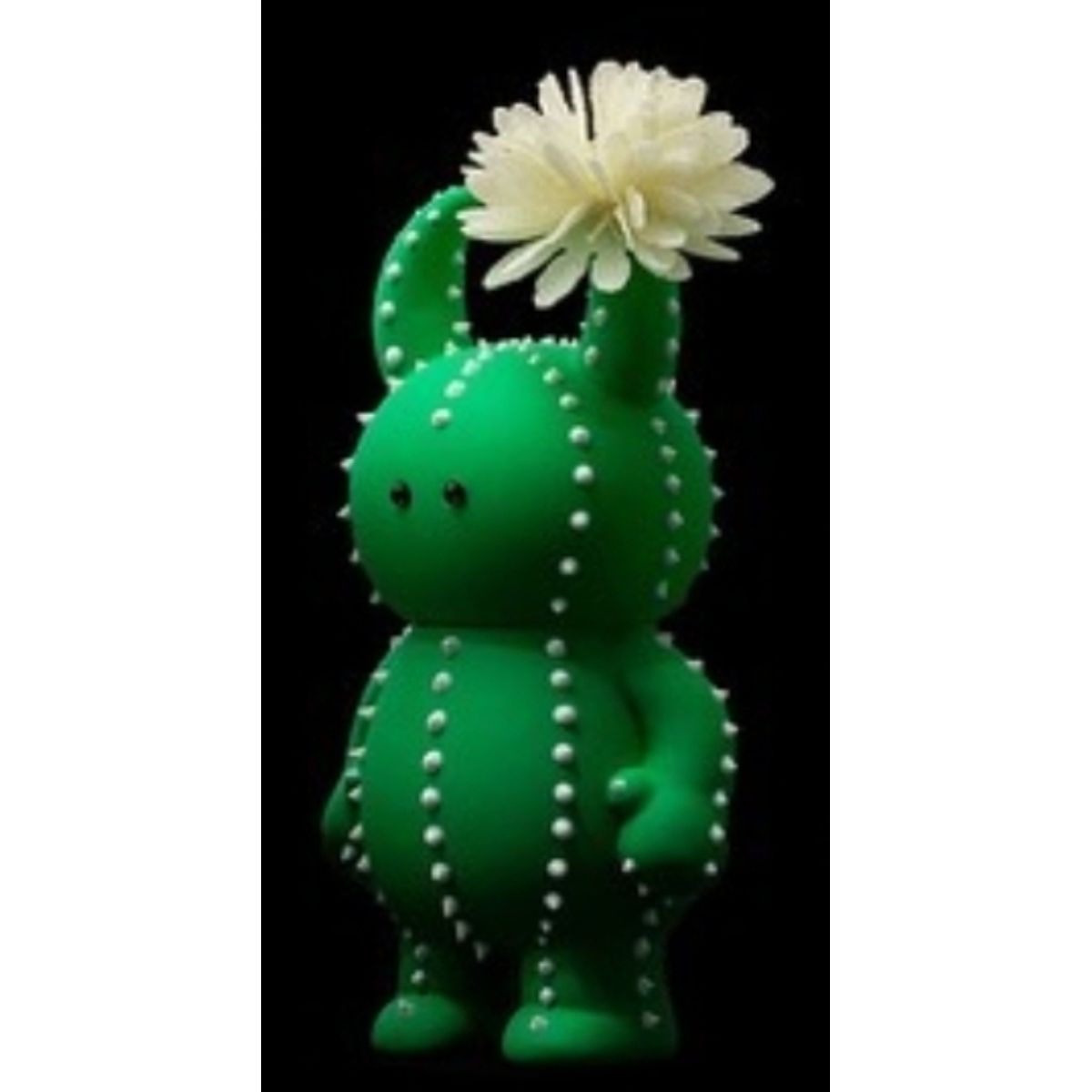 Cactus Uamou Flowering White