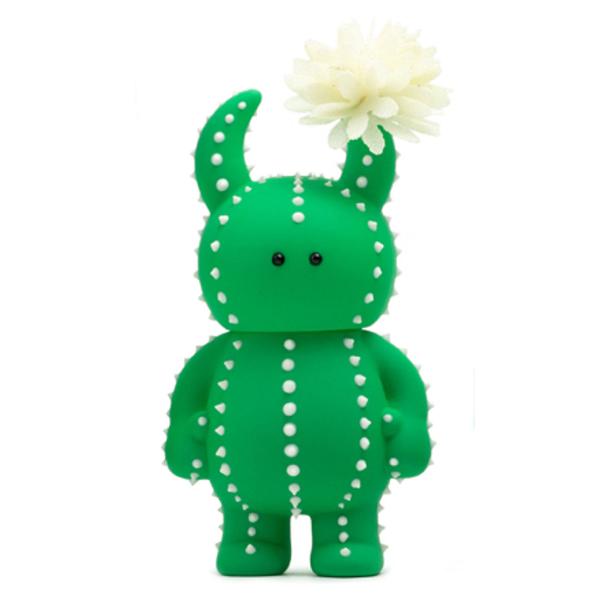 Cactus Uamou Flowering White