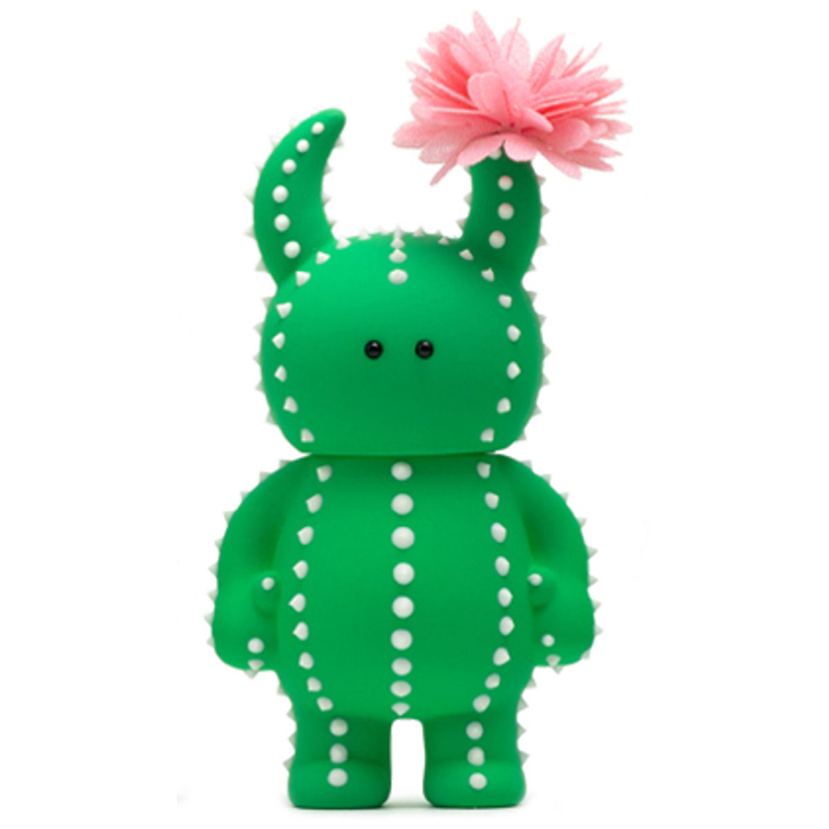 Cactus Uamou Flowering Pink