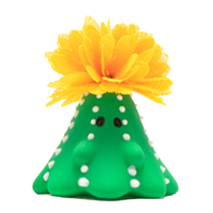 Cactus Boo Yellow Flowering by Uamou (Ayako Takagi)