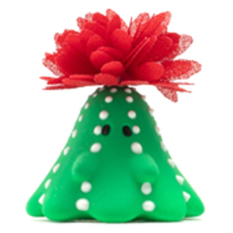 Cactus Boo Red Flowering by Uamou (Ayako Takagi)