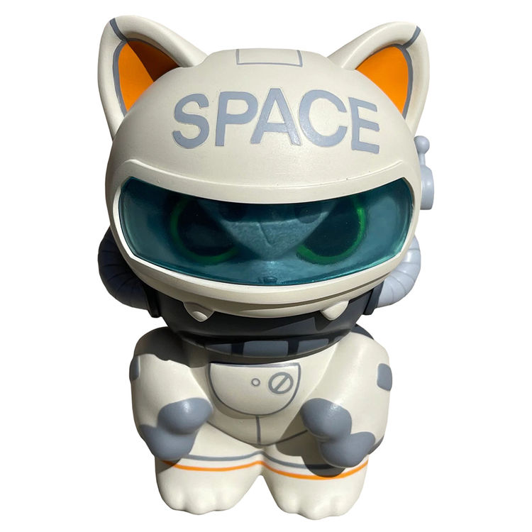 Space Cat by Car
