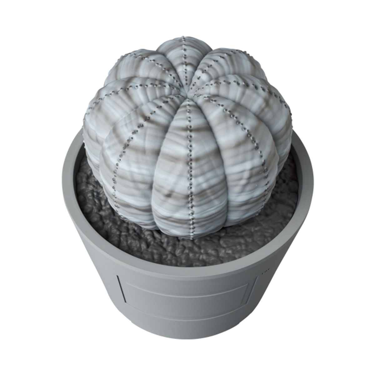 Gray Euphorbia Obesa VCD