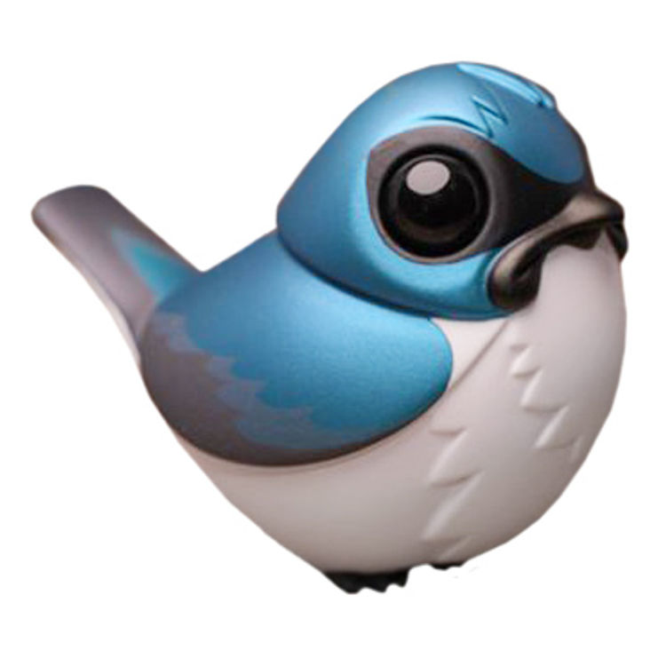 Young Robin Tree Swallow by Muffinman (Malte Fulda)