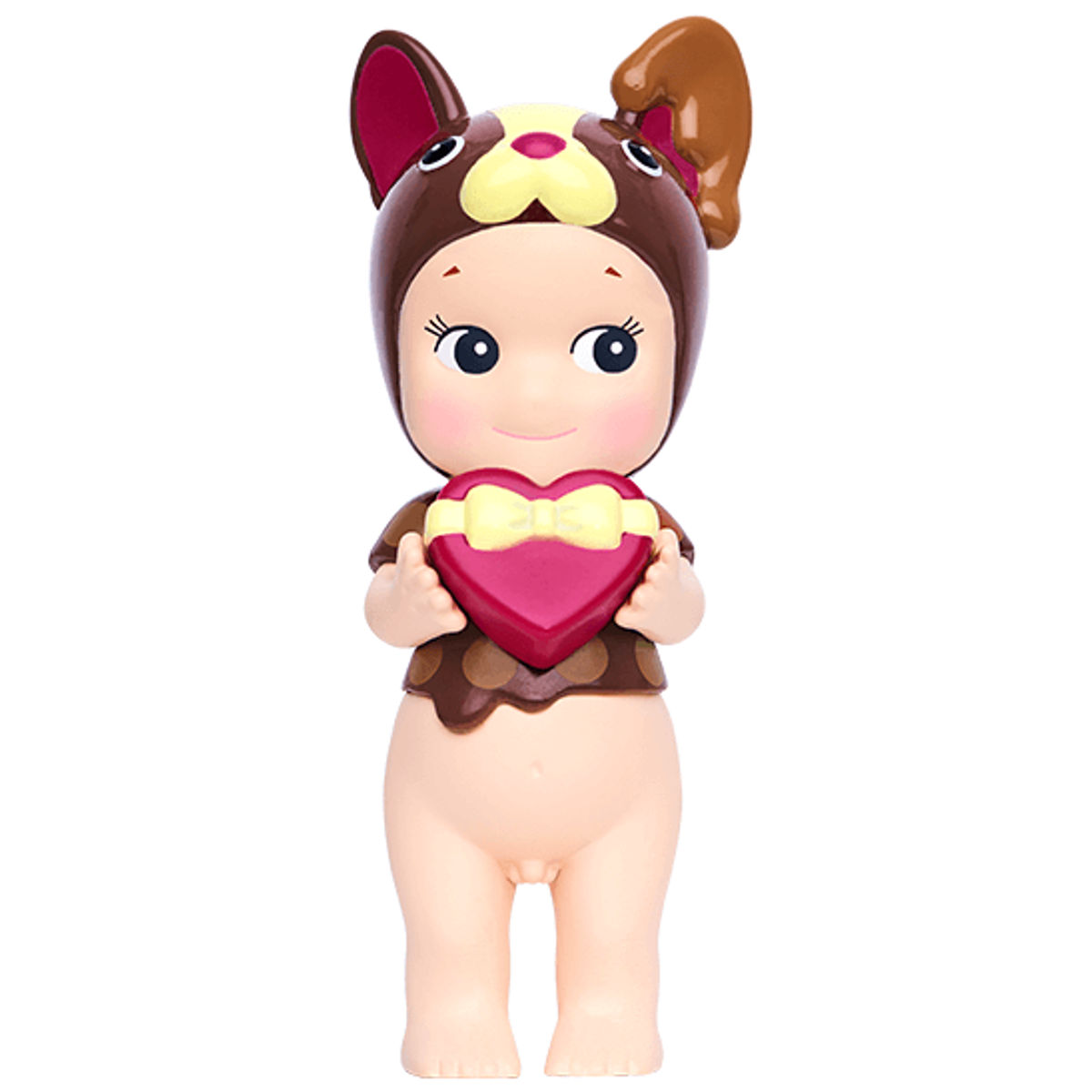 Chocolate French Bulldog