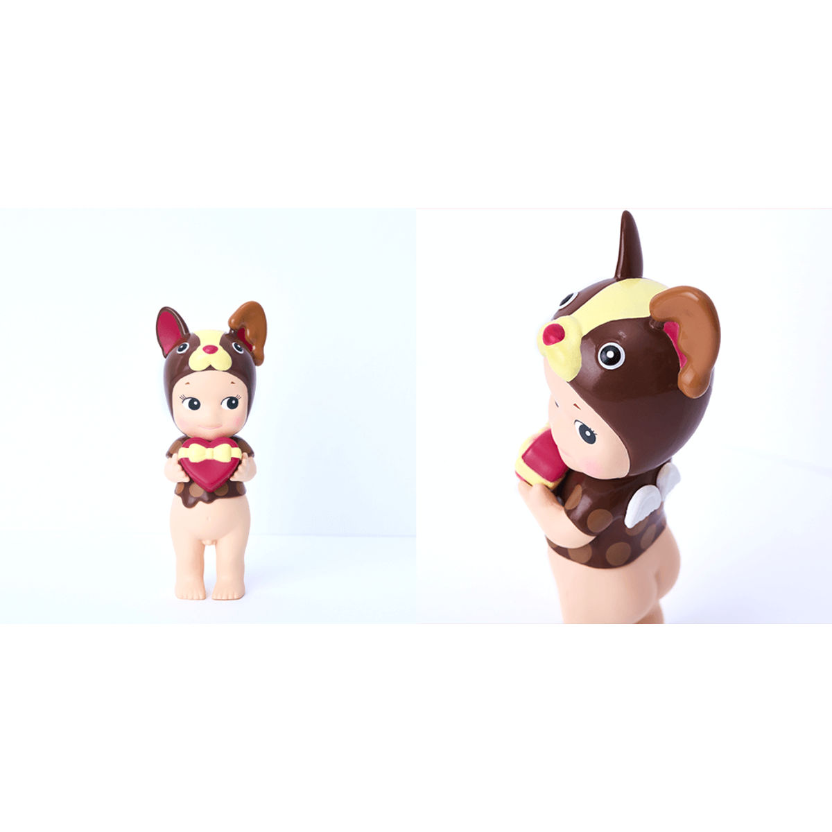 Chocolate French Bulldog