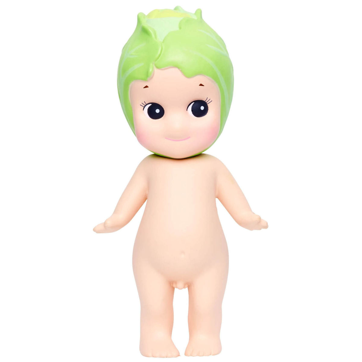 Vegetable Series - Cabbage