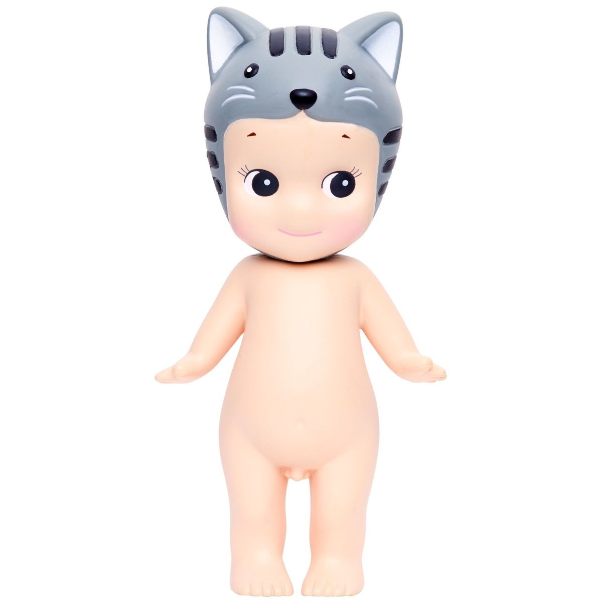 Animal Series 3 - American Short Hair