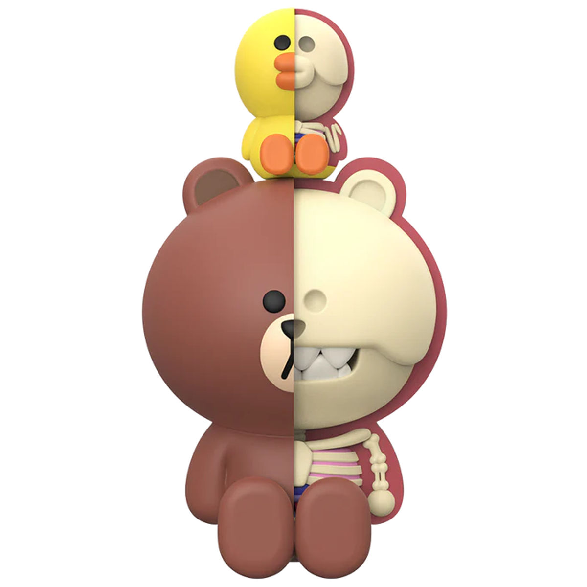 XXRay Plus : Brown and Sally