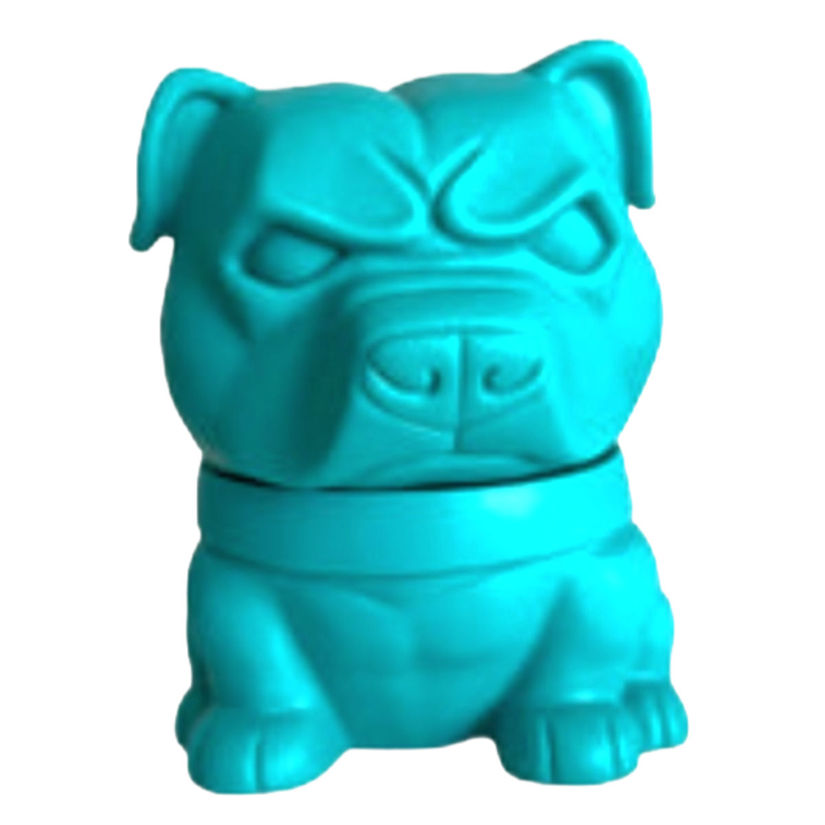 Turquoise Danger Dog