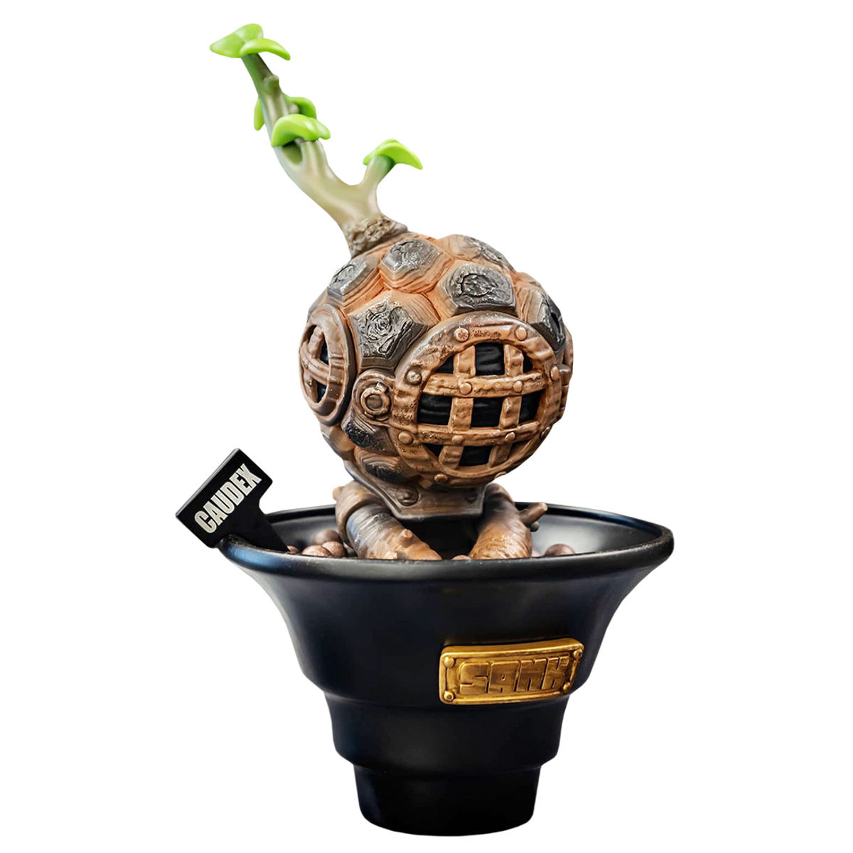 Sank Turtle-Back Caudex Black