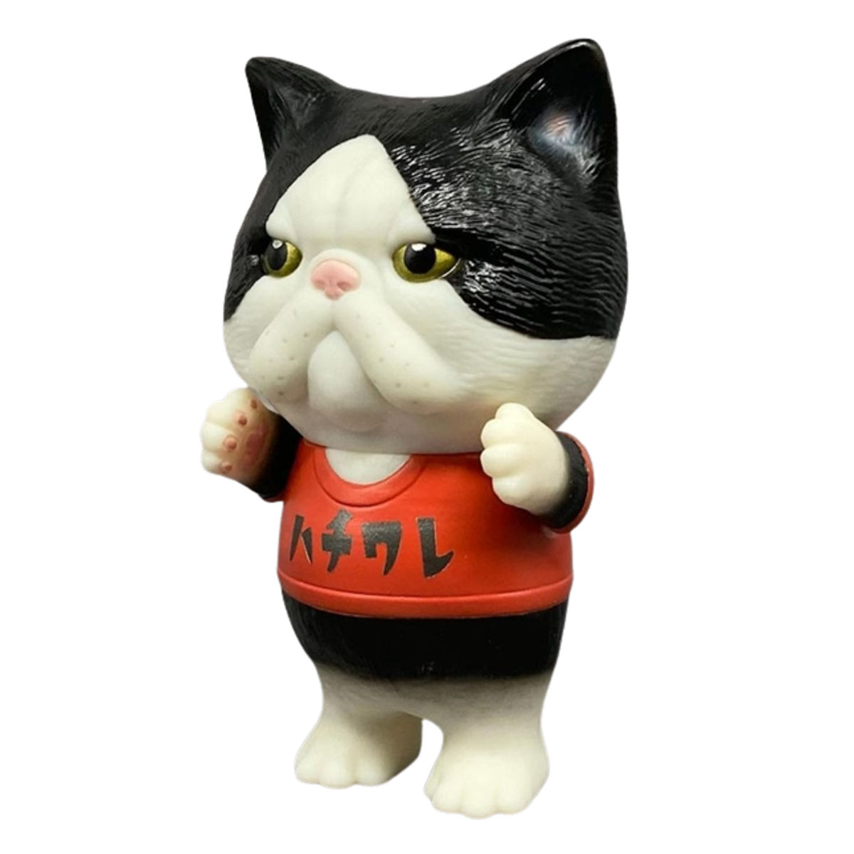 White Black Exotic Cat