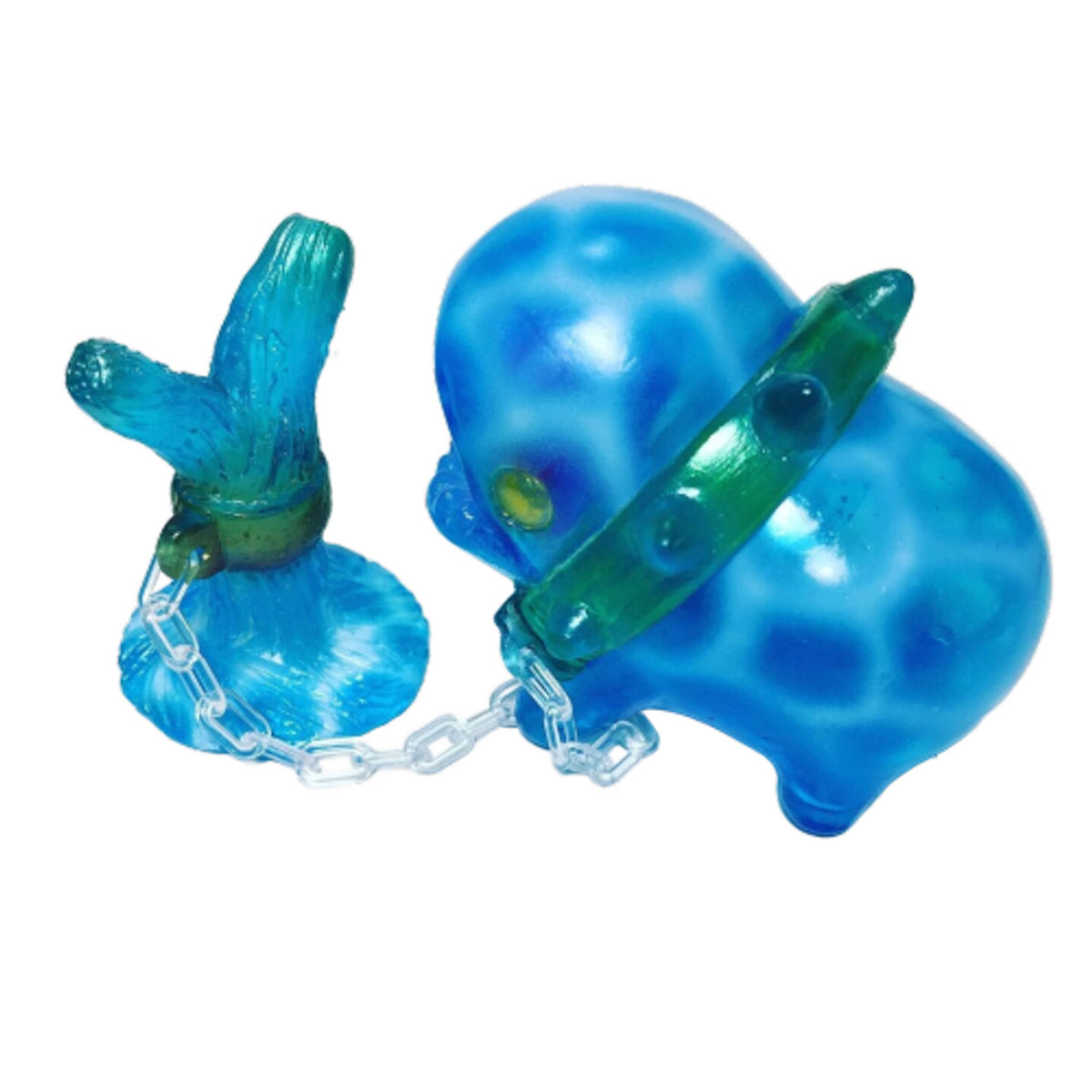 Sea Gabra Mizumon Color