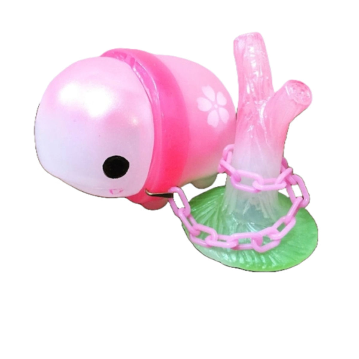 Sakura Gabra (Translucent Body)