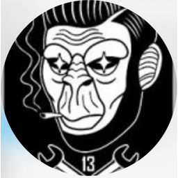 13 Lucky Monkey