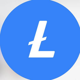 Litecoin Summit : 2025