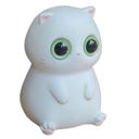 Blank Cat