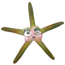 Buncha Starfish