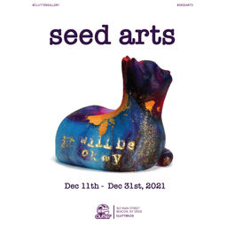 Seed Arts Solo Show