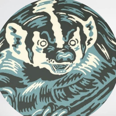 Furturtle (Travis Bone) profile image