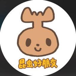 Kai 3D Art Studio (Chang Tsung Kai)