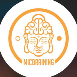 MicBraining