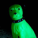 Nipper the Dog