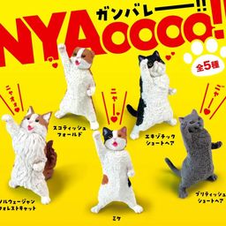 Nyaooo!