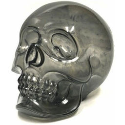 Shingon Skull