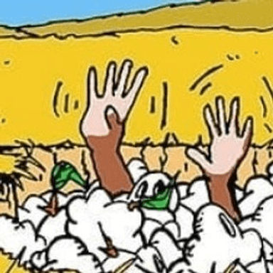 Sky Welkin profile image